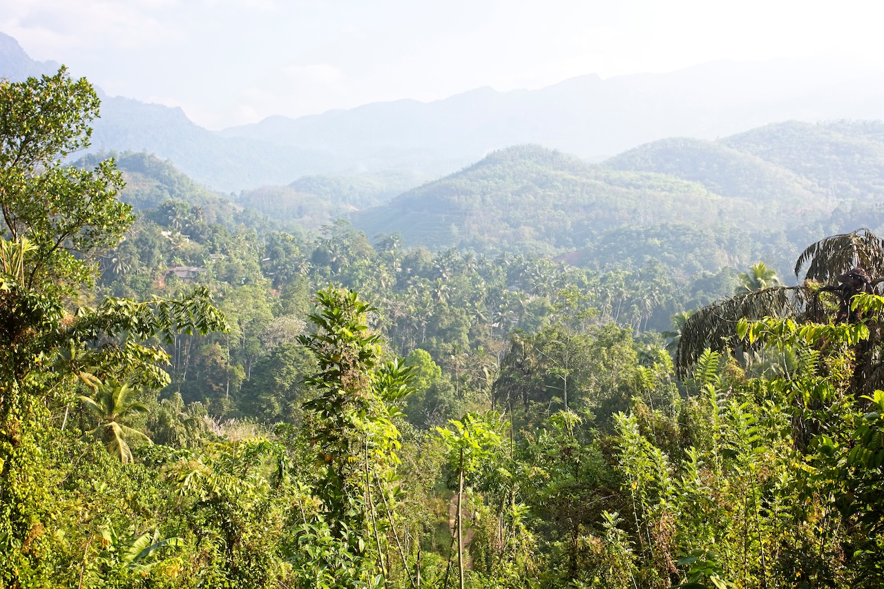 Kitulgala by tonymills